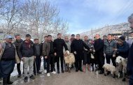 AFETTEN ETKİLENENLERE HİBE KOYUN DAĞITILDI
